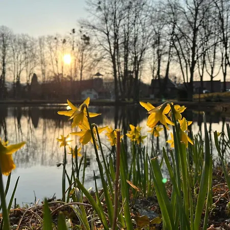 Hotel Parkhotel Am Schwanenteich Bad Sooden-Allendorf