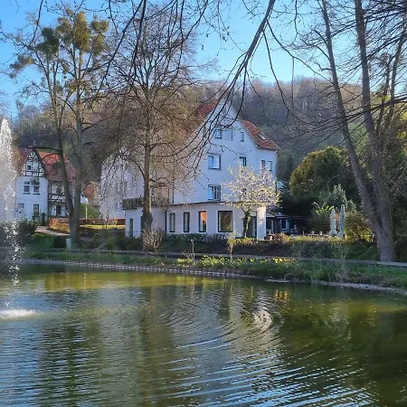 Parkhotel Am Schwanenteich 3* 바트순덴알렌도르프