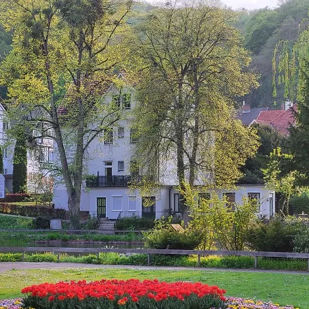Parkhotel Am Schwanenteich Hotel Bad Sooden-Allendorf