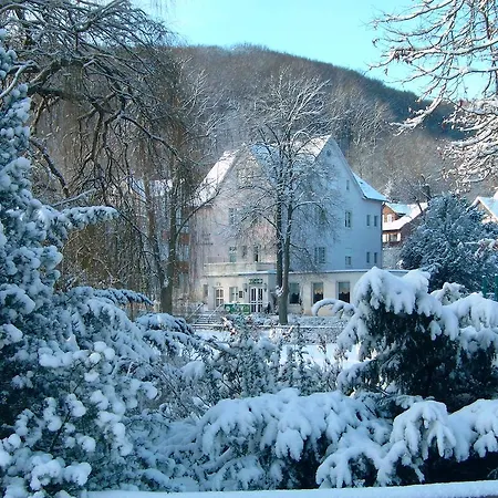 Otel Parkhotel Am Schwanenteich Bad Sooden-Allendorf