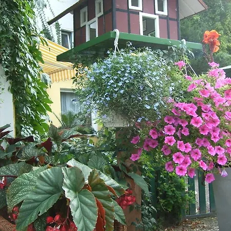 호텔 Parkhotel Am Schwanenteich 바트순덴알렌도르프