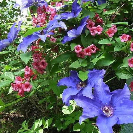 Parkhotel Am Schwanenteich