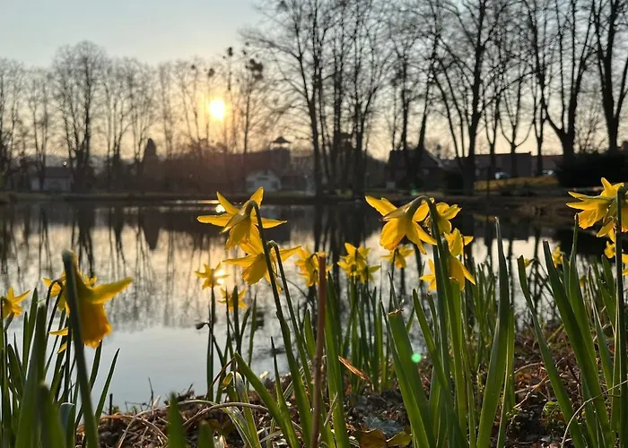 Szálloda Parkhotel Am Schwanenteich Bad Sooden-Allendorf