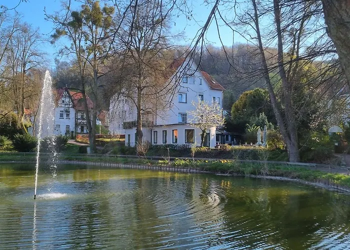 Parkhotel Am Schwanenteich 3* Bad Sooden-Allendorf