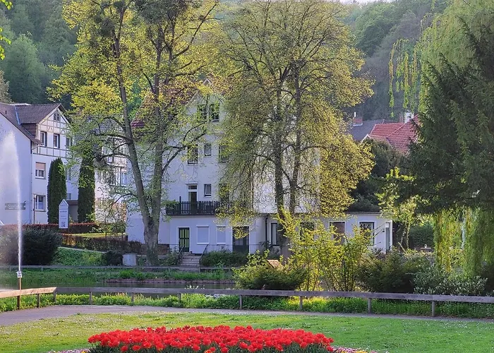 Parkhotel Am Schwanenteich Szálloda Bad Sooden-Allendorf