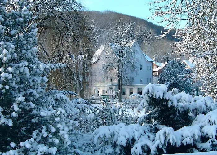 Szálloda Parkhotel Am Schwanenteich Bad Sooden-Allendorf
