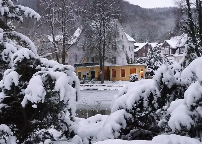 Szálloda Parkhotel Am Schwanenteich 3*