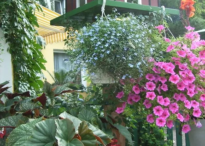 Szálloda Parkhotel Am Schwanenteich Bad Sooden-Allendorf