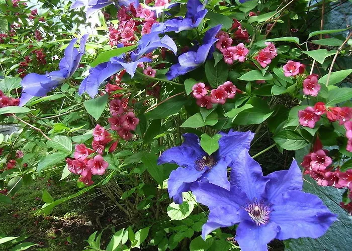 Parkhotel Am Schwanenteich